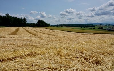 Farming at Risk? The challenges of Agricultural Estate Planning following the Budget…